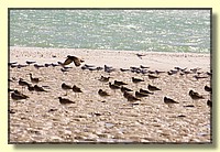 CLICK to enlarge image # 124