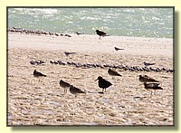 CLICK to enlarge image # 125