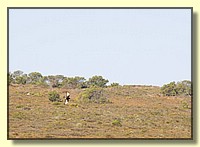 CLICK to enlarge image # 127