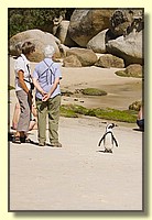CLICK to enlarge image # 101