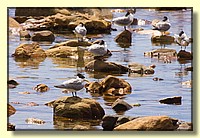 CLICK to enlarge image # 128