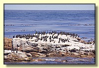 CLICK to enlarge image # 135
