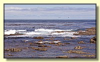 CLICK to enlarge image # 136