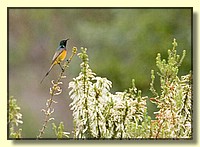 CLICK to enlarge image # 144