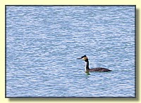 CLICK to enlarge image # 146