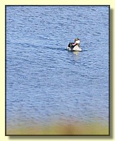 CLICK to enlarge image # 150