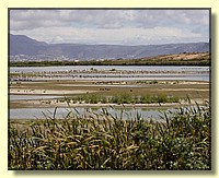 CLICK to enlarge image # 151
