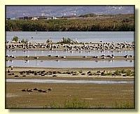 CLICK to enlarge image # 153