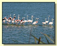 CLICK to enlarge image # 155