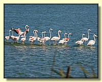 CLICK to enlarge image # 156