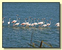 CLICK to enlarge image # 157