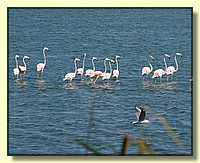 CLICK to enlarge image # 158