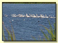 CLICK to enlarge image # 160