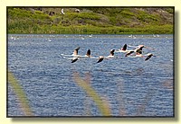 CLICK to enlarge image # 163
