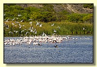 CLICK to enlarge image # 164
