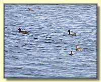 CLICK to enlarge image # 165