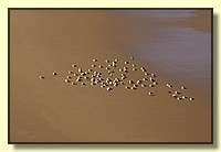 CLICK to enlarge image # 170