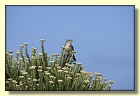 CLICK to enlarge image # 173