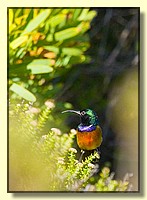 CLICK to enlarge image # 175