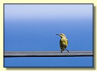 CLICK to enlarge image # 176