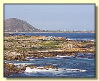 CLICK to enlarge image # 137