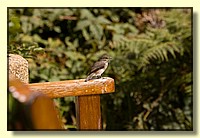 CLICK to enlarge image # 180