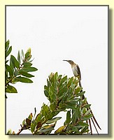 CLICK to enlarge image # 190