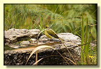 CLICK to enlarge image # 192