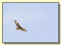 CLICK to enlarge image # 205