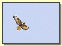 CLICK to enlarge image # 206
