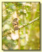 CLICK to enlarge image # 216