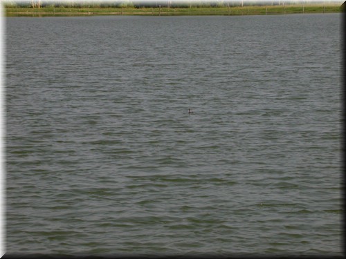 DSCN8275.JPG
Make: NIKON
Model: E4500
DateTime: 11/21/2003 9:43:33 PM
EXIFImageWidth: 1600
ExifImageLength: 1200
Flash: Flash did not fire - Compulsary flash surpression
ISOSpeedRatings: ISO 100
FocalLength: 32 mm