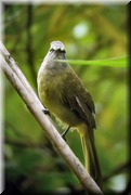 CLICK to enlarge image

Image ID: DSCN7716
