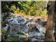 CLICK to enlarge image

Image ID: DSCN7777