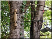 CLICK to enlarge image

Image ID: DSCN7796