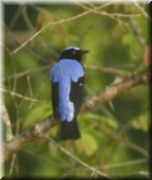 CLICK to enlarge image

Image ID: DSCN8042