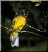 CLICK to enlarge image

Image ID: DSCN8092