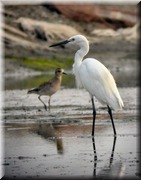 CLICK to enlarge image

Image ID: DSCN8140