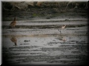 CLICK to enlarge image

Image ID: DSCN8142