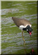 CLICK to enlarge image

Image ID: DSCN8323