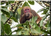 CLICK to enlarge image

Image ID: DSCN8481