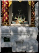 CLICK to enlarge image and start slideshow.

Image ID: DSCN7309